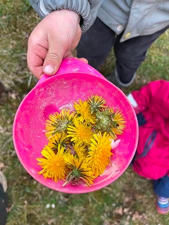 Bilde 2 av 5 i jobbannonse-galleriet