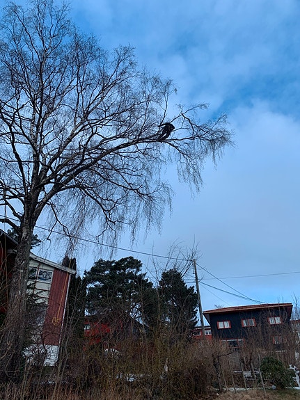 Bilde 4 av 7 i jobbannonse-galleriet