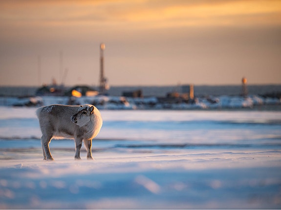 Bilde 6 av 8 i jobbannonse-galleriet