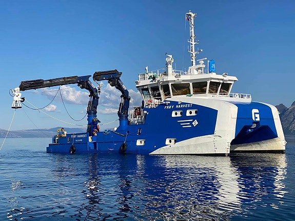 Bilde 2 av 4 i jobbannonse-galleriet