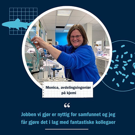 Bilde 5 av 6 i jobbannonse-galleriet