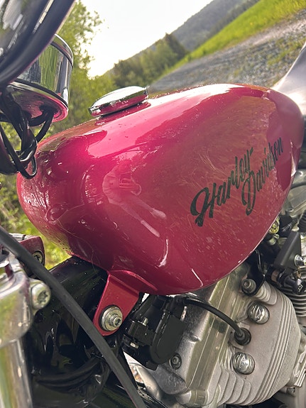 Harley-Davidson XL 883 Sportster 16 of 21
