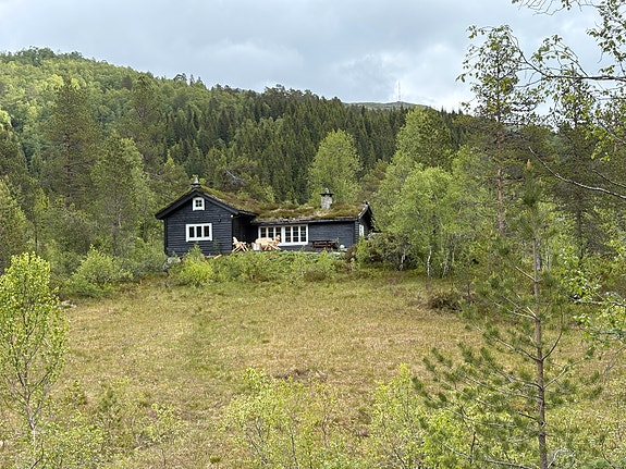 Koselig familievennlig hytte på Kvamskogen