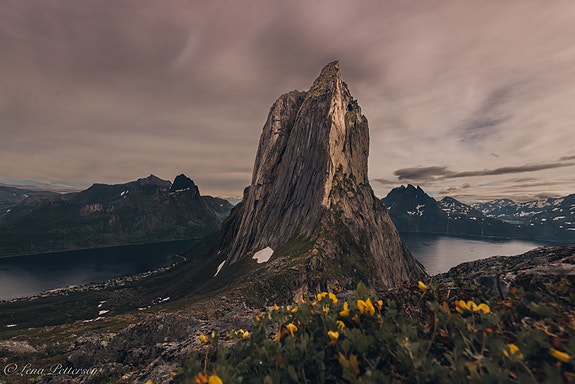 Bilde 2 av 5 i jobbannonse-galleriet