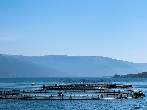 Bilde 2 av 3 i jobbannonse-galleriet