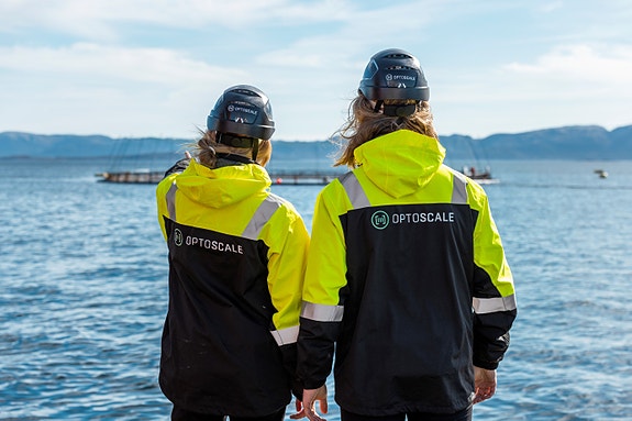 Bilde 1 av 4 i jobbannonse-galleriet