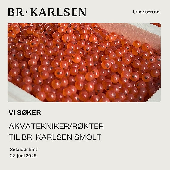 Bilde 1 av 1 i jobbannonse-galleriet