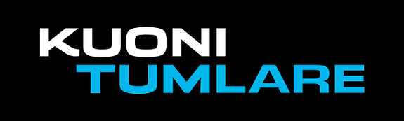 Tumlare Corporation  AS logo