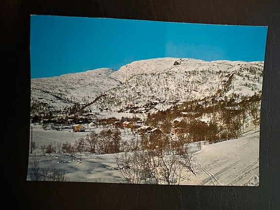 Kvamskogen. Ubrukt  (3895  BL)