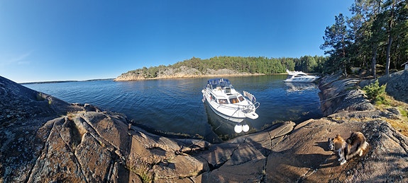 Scand 29 Baltic | 815 timer | Yanmar 290hk | Gummijolle m/4hk [4takt] på daviter 4 of 5