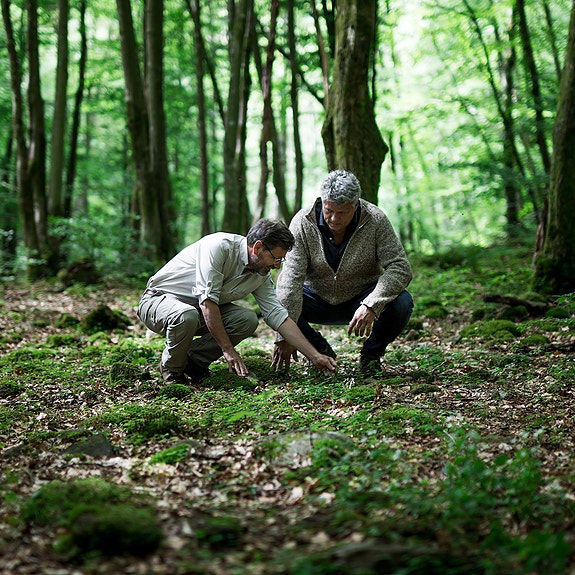 Bilde 1 av 4 i jobbannonse-galleriet