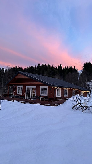 Hytte til leie på Kvamskogen i Mødalen