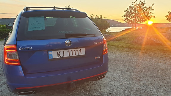 Skoda Octavia RS 12 of 30