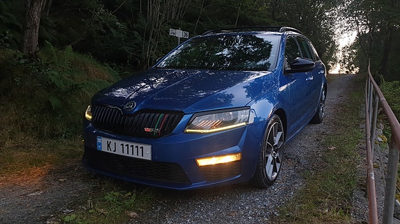 Skoda Octavia RS 29 of 30