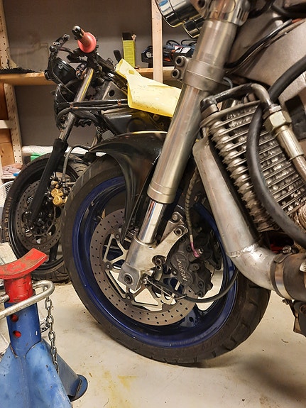 Suzuki 10 of 12