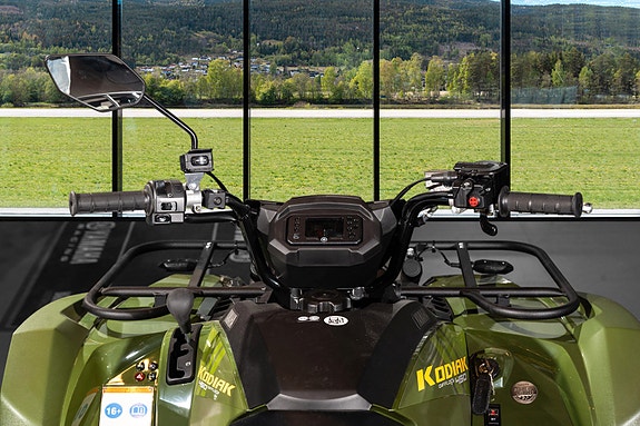 Yamaha Kodiak 450 EPS 12 of 12