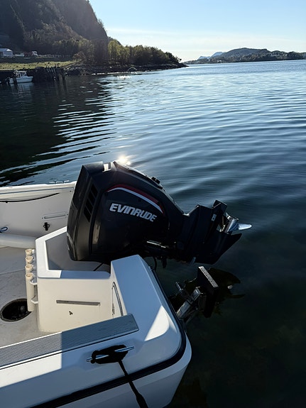 Bayliner 8 of 20