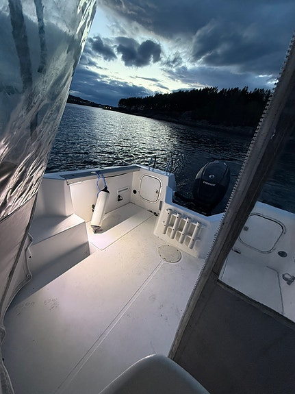 Bayliner 16 of 20