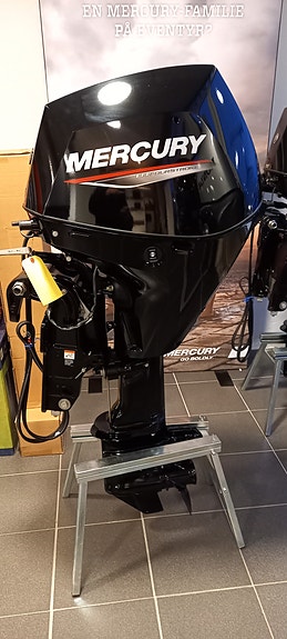 Mercury 30 EFI