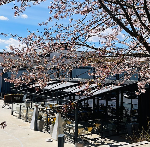 Bilde 5 av 10 i jobbannonse-galleriet