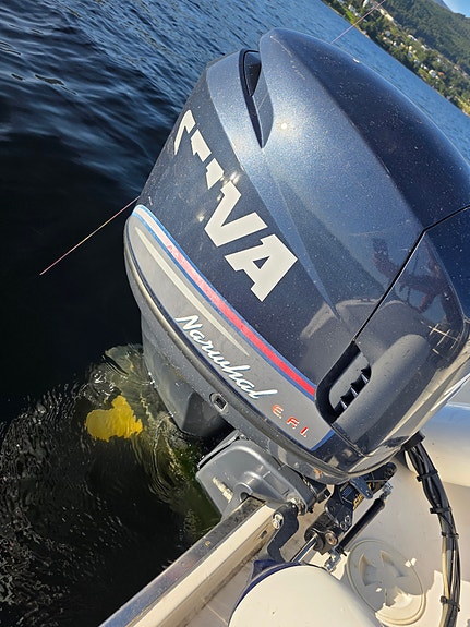 Yamaha Selva 115 4 takt  2006 6 of 7