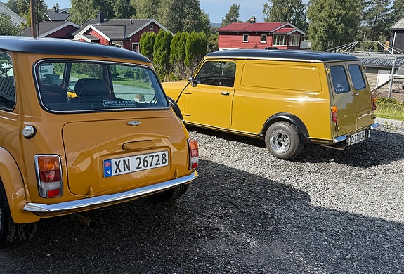 MINI 10 of 30