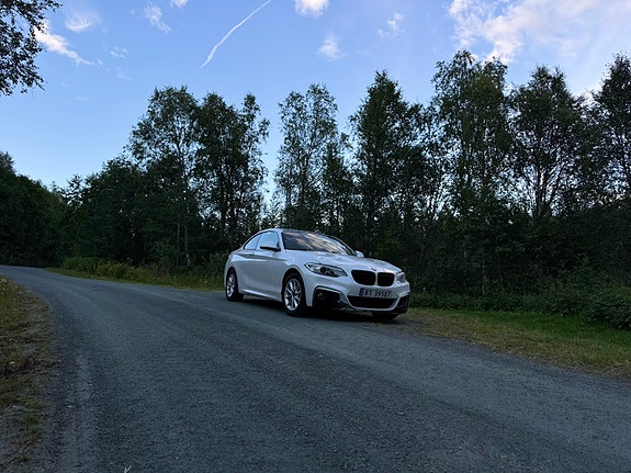 BMW 218i 12 of 22