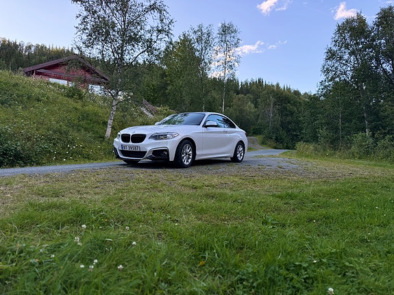 BMW 218i 13 of 22