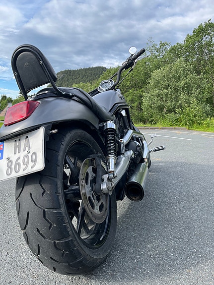 Harley-Davidson VRSCDX 5 of 5