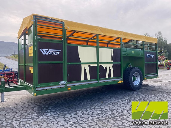 Western Dyrehenger | 6DTV