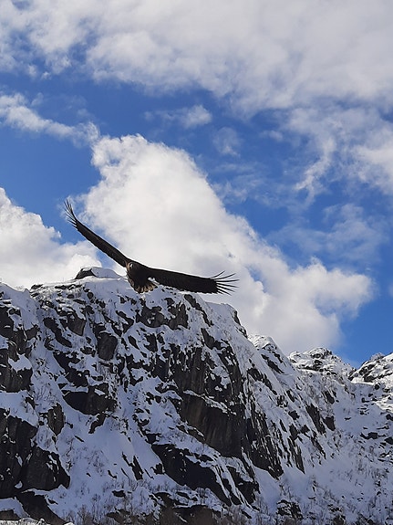 Bilde 5 av 10 i jobbannonse-galleriet