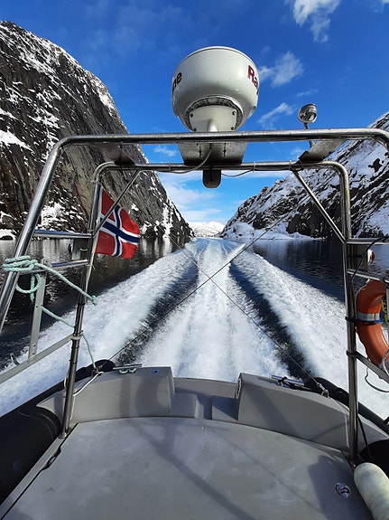 Bilde 10 av 10 i jobbannonse-galleriet