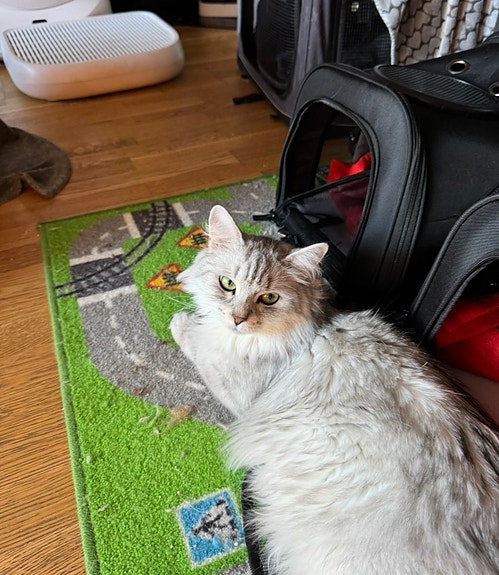 Product image 3 of 6