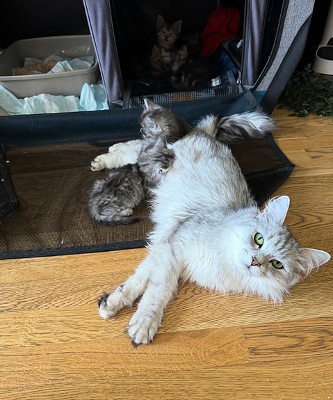 Product image 4 of 6