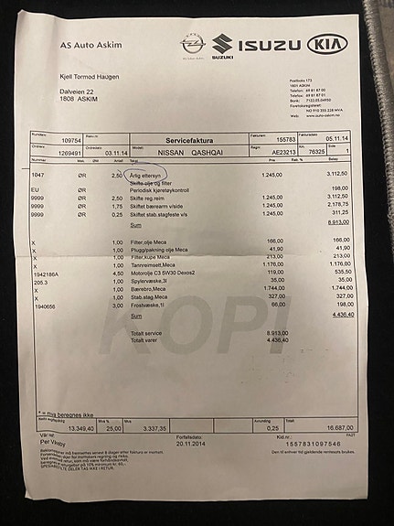 Nissan Qashqai 19 of 19