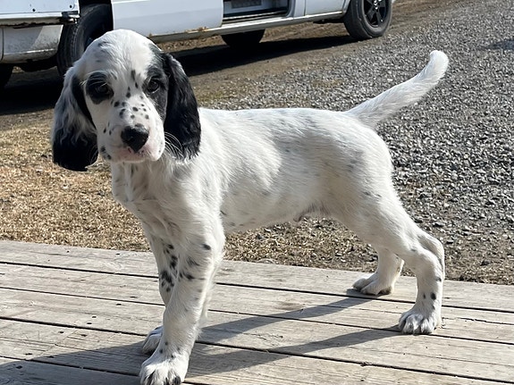 Product image 9 of 10