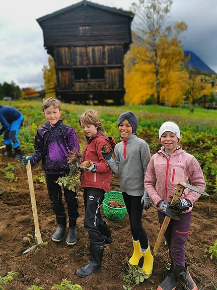 Bilde 3 av 9 i jobbannonse-galleriet