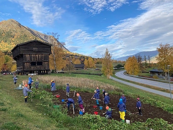 Bilde 8 av 9 i jobbannonse-galleriet