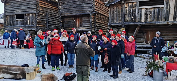 Bilde 6 av 9 i jobbannonse-galleriet