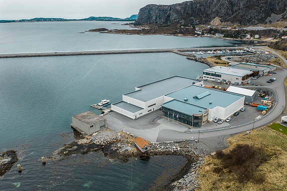 Bilde 10 av 10 i jobbannonse-galleriet