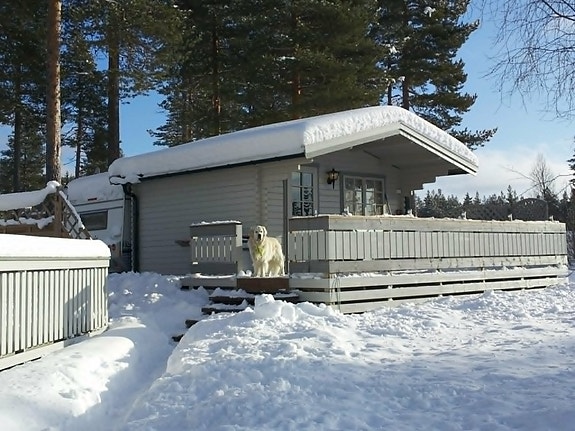 Tec TRAVEL KING 580 4 of 5