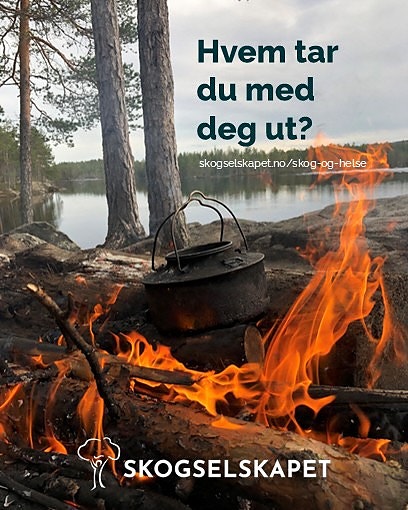 Bilde 3 av 10 i jobbannonse-galleriet