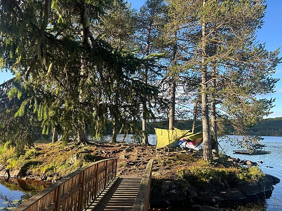 Bilde 1 av 10 i jobbannonse-galleriet