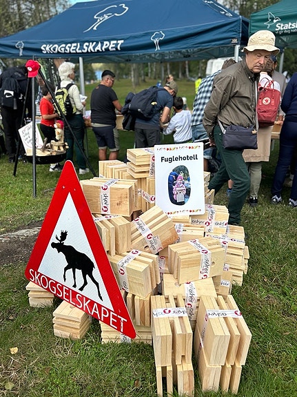 Bilde 5 av 10 i jobbannonse-galleriet