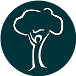 Det norske Skogselskap (DnS) logo