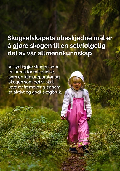 Bilde 2 av 10 i jobbannonse-galleriet