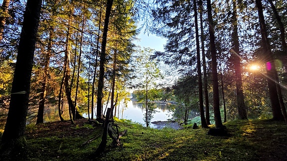 Bilde 8 av 10 i jobbannonse-galleriet