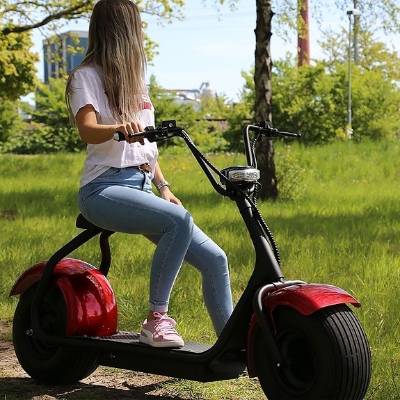 X-PRO Harleyscooter 1500W 4 of 5