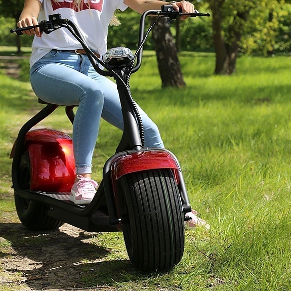 X-PRO Harleyscooter 1500W 5 of 5