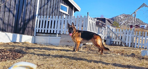 Product image 7 of 9